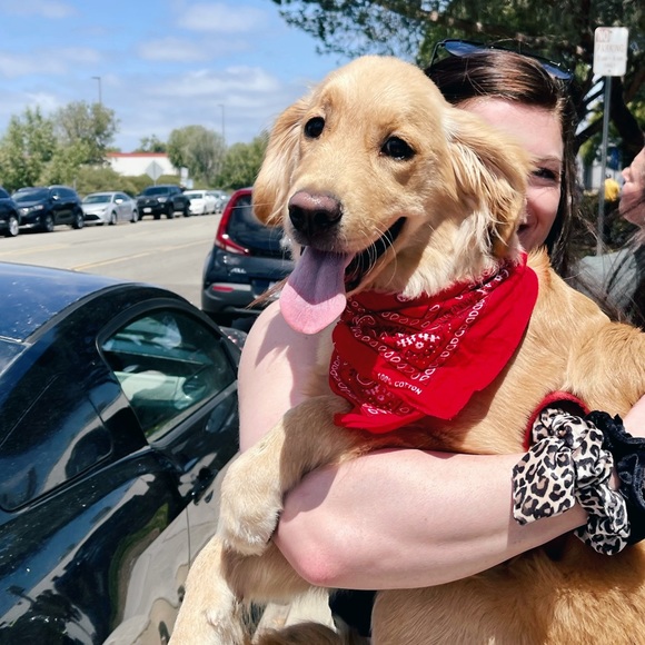 Meet your Posher, Julia - Picture 1 of 1